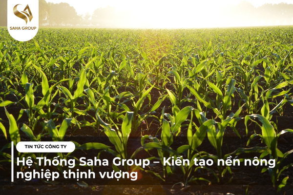 Hệ Thống Saha Group – Kiến tạo nền nông nghiệp thịnh vượng