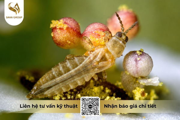 vi-sao-nhu-cau-gia-cong-thuoc-bvtv-dang-tang-manh.jpg