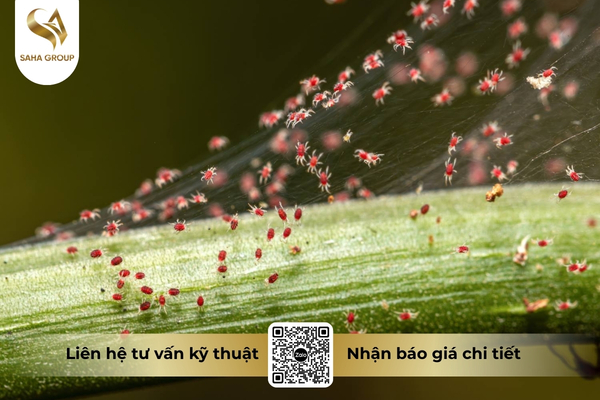 saha-group-va-dinh-huong-xay-dung-he-sinh-thai-oem-nong-nghiep.jpg