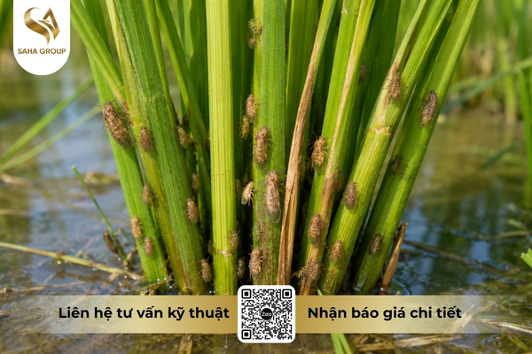 cong-nghe-va-chuyen-doi-so-trong-nganh-thuoc-bvtv.jpg