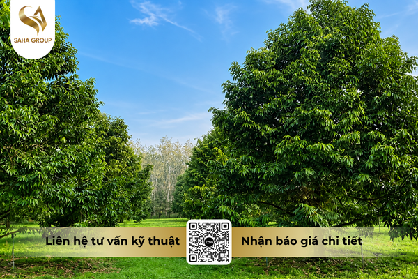 faq-cau-hoi-ba-con-thuong-gap.png