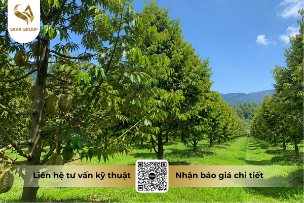 faq-cau-hoi-ba-con-thuong-gap.png