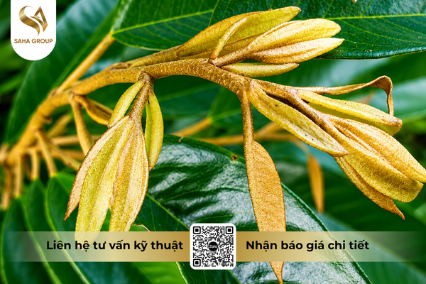 cong-dung-noi-bat-cua-phan-bon-la-hon-hop-pk-vinaf-07-niriphos-30-20.png