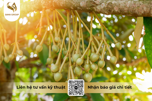 cong-dung-noi-bat-cua-phan-bon-vi-luong-uv-bo-as-vn-boron-liquid.png