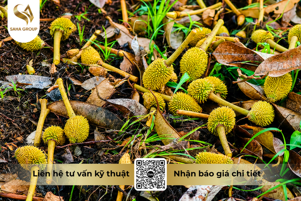 faq-cau-hoi-ba-con-thuong-gap.png