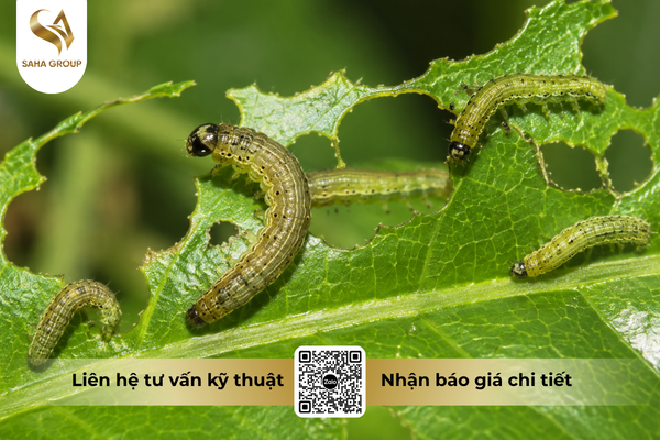 faq-cau-hoi-ba-con-thuong-gap.png