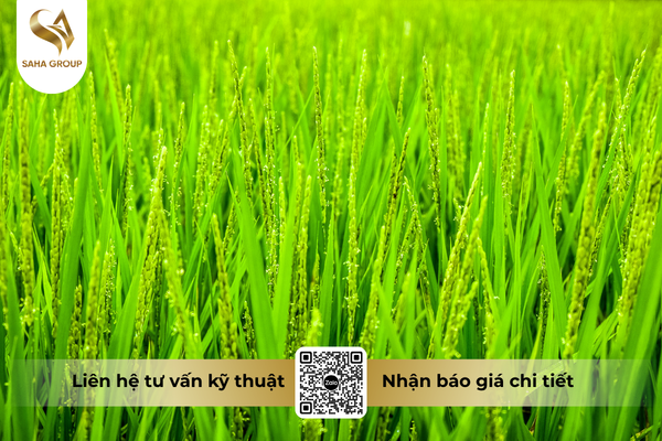 faq-cau-hoi-ba-con-thuong-gap.png