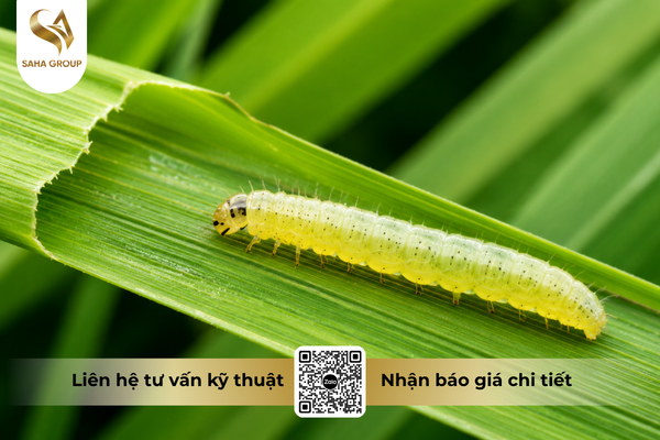 cong-dung-noi-bat-cua-thuoc-tru-sau-bestox-5ec.png