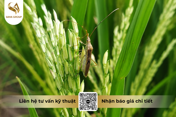 faq-cau-hoi-ba-con-thuong-gap.png