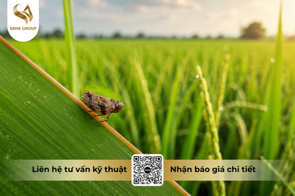 cong-dung-noi-bat-cua-thuoc-tru-sau-bisector-500ec-hieu-rayxanro-500.png