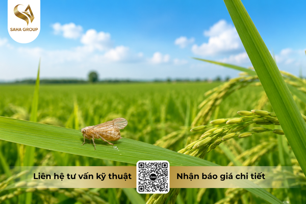 cong-dung-noi-bat-cua-thuoc-tru-sau-bisector-500ec-hieu-sixtrie.png