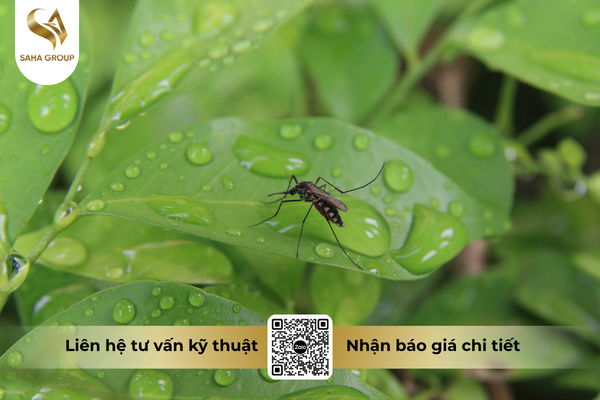 faq-cau-hoi-ba-con-thuong-gap.png