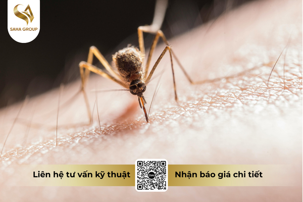 faq-cau-hoi-ba-con-thuong-gap.png