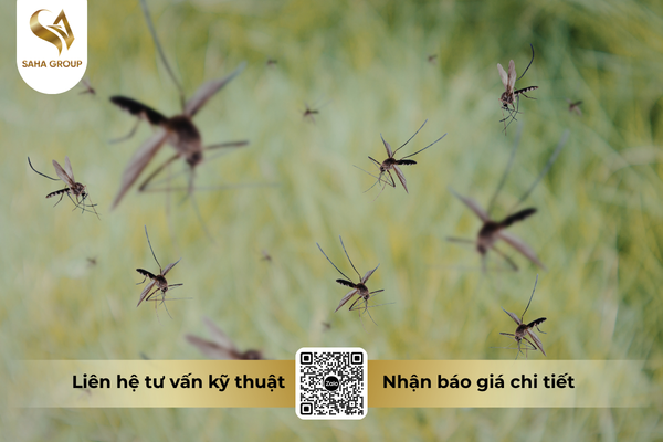cong-dung-noi-bat-cua-che-pham-diet-muoi-chu-yang-sin-750ec.png