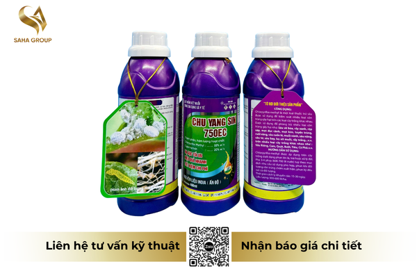 thong-tin-chung-ve-che-pham-diet-muoi-chu-yang-sin-750ec.png