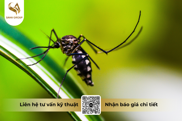 faq-cau-hoi-ba-con-thuong-gap.png