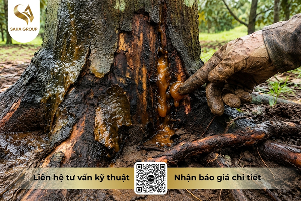 khi-benh-nang-se-xuat-hien-gi.jpg