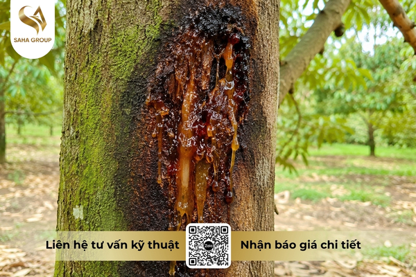 faq-cau-hoi-thuong-gap-ve-hien-tuong-chay-nhua-than.jpg