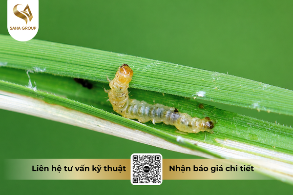 cong-dung-noi-bat-cua-thuoc-tru-sau-crymerin-50ec.png