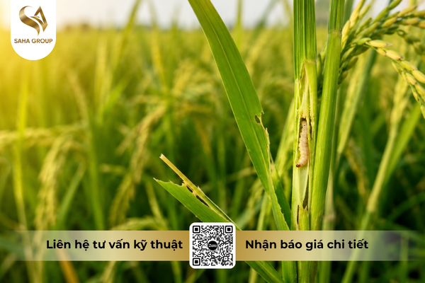 cong-dung-noi-bat-cua-thuoc-tru-sau-crymerin-50ec.png