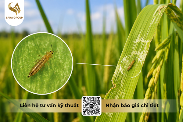 faq-cau-hoi-ba-con-thuong-gap.png