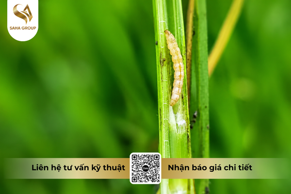cong-dung-noi-bat-cua- thuoc-tru-sau-cypdime-558-10-ec-hieu-dymper.png