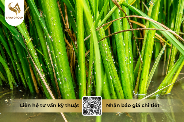 cong-dung-noi-bat-cua-thuoc-tru-sau-excel-basa-50ec.png