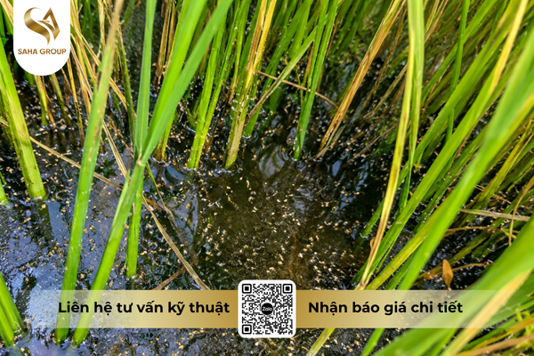 faq-cau-hoi-ba-con-thuong-gap.png