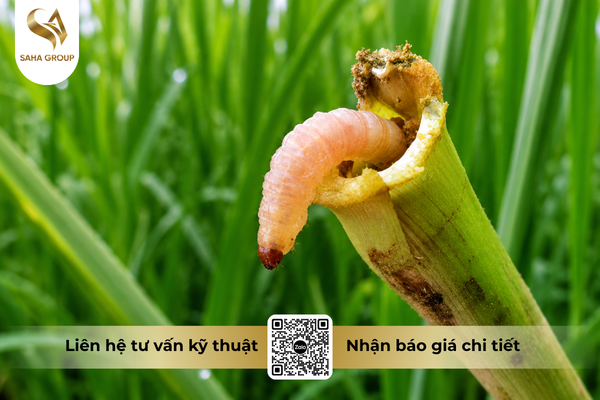 cong-dung-noi-bat-cua-thuoc-tru-sau-factor-50-ec-sansaurep-500.png
