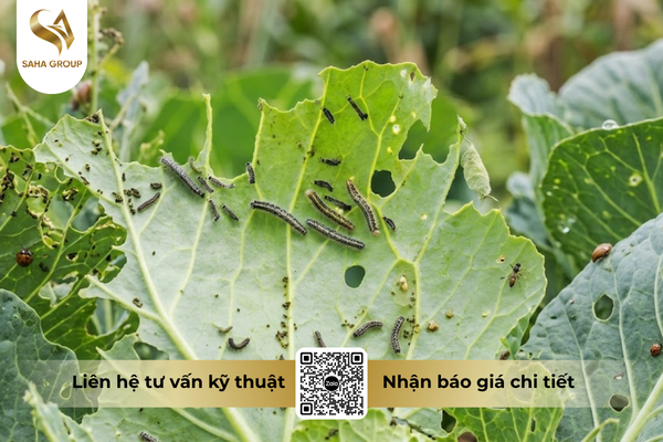 faq-cau-hoi-ba-con-thuong-gap.png