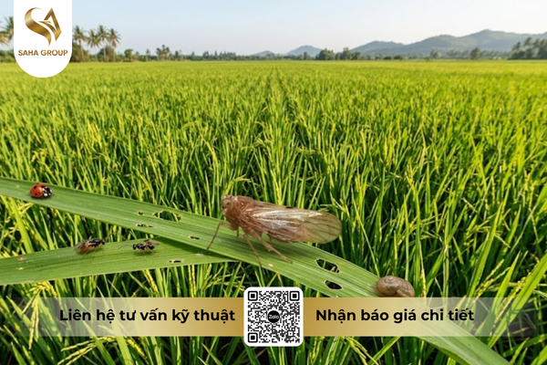 cong-dung-noi-bat-cua-thuoc-tru-sau-fantasy-20-ec-hieu-sansyray-200.png
