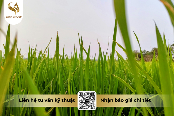 faq-cau-hoi-ba-con-thuong-gap.png