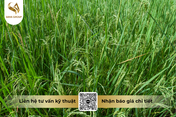 faq-cau-hoi-ba-con-thuong-gap.png