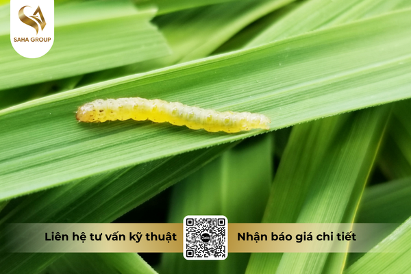 cong-dung-noi-bat-cua-thuoc-tru-sau-fortac-5-ec-santox-500.png