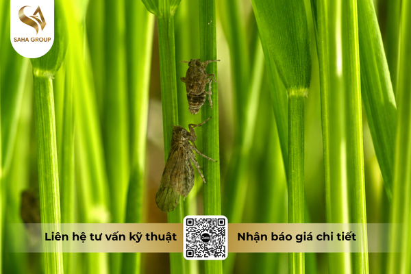 cong-dung-noi-bat-cua-thuoc-tru-sau-fortac-5-ec-santox-500.png