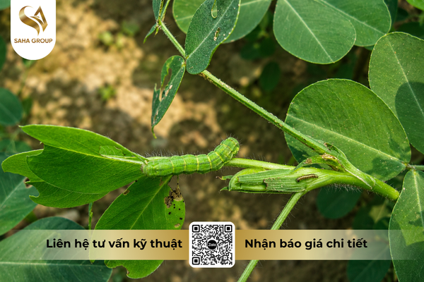 faq-cau-hoi-ba-con-thuong-gap.png