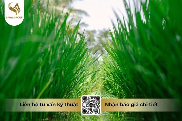 faq-cau-hoi-ba-con-thuong-gap.png