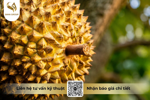 hau-qua-khi-phat-hien-du-luong-vang-o.jpg