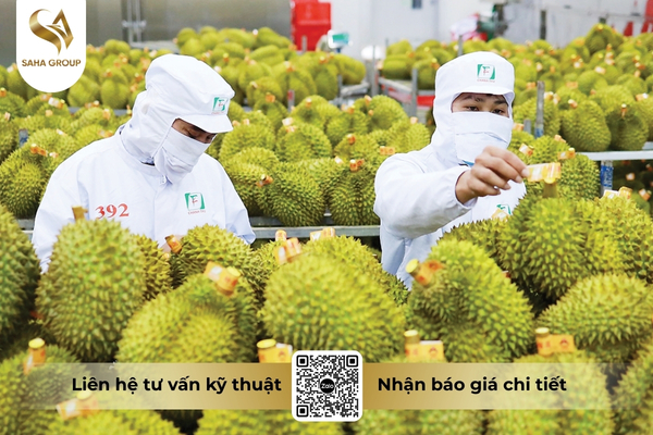 faq-cau-hoi-thuong-gap-ve-chi-tieu-vang-o-xuat-khau.jpg