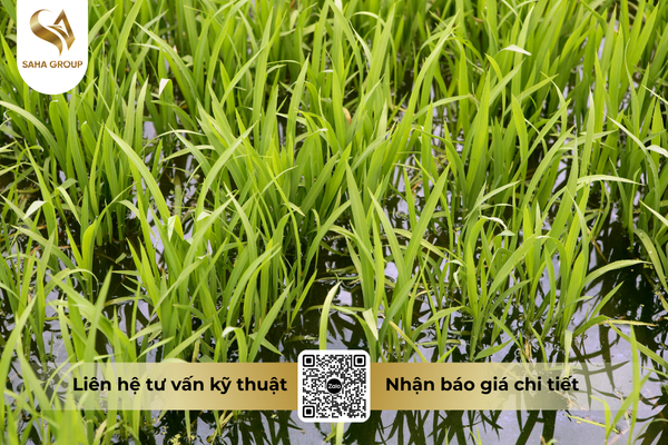 faq-cau-hoi-ba-con-thuong-gap.png