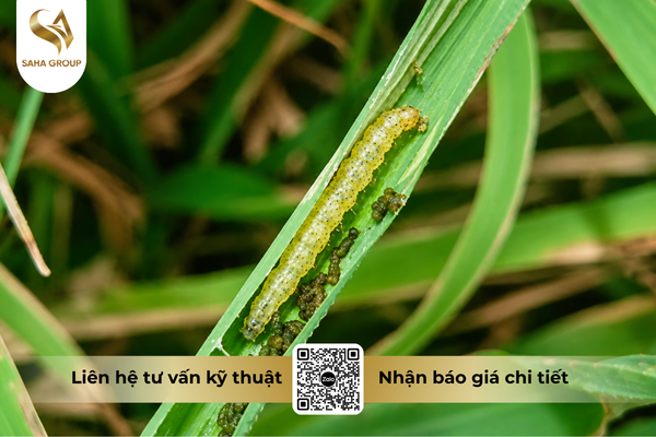 faq-cau-hoi-ba-con-thuong-gap.png