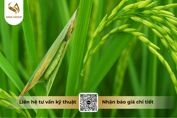cong-dung-noi-bat-cua-thuoc-tru-sau-fortac-5-ec-santox-500.png