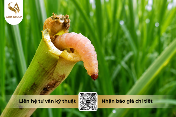 faq-cau-hoi-ba-con-thuong-gap.png