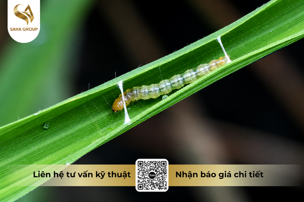 cong-dung-noi-bat-cua-thuoc-tru-sau-fortac-5-ec-santox-500.png