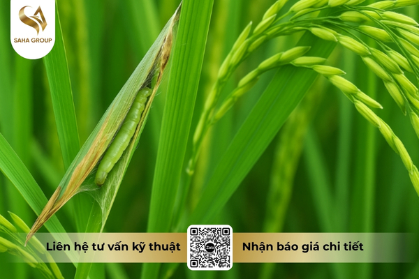 vi-du-ve-mot-chu-trinh-luan-phien-irac.jpg