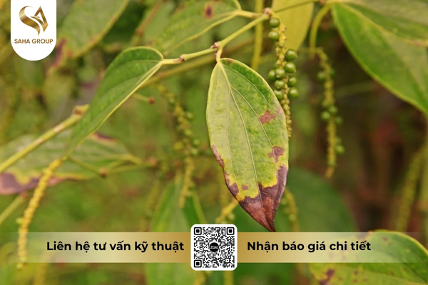 cong-dung-thuoc-tru-benh-vt-flunil-400sc.jpg