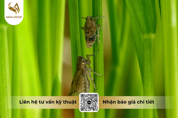 cong-dung-thuoc-tru-sau-lotoshine-400wp-hieu-killrayreb-500.jpg