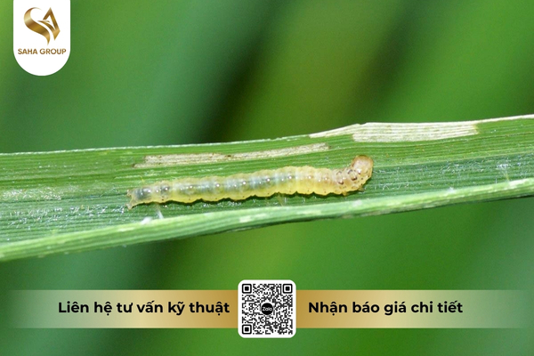 cong-dung-thuoc-tru-sau-nosau-85wp-hieu-noray-850.jpg