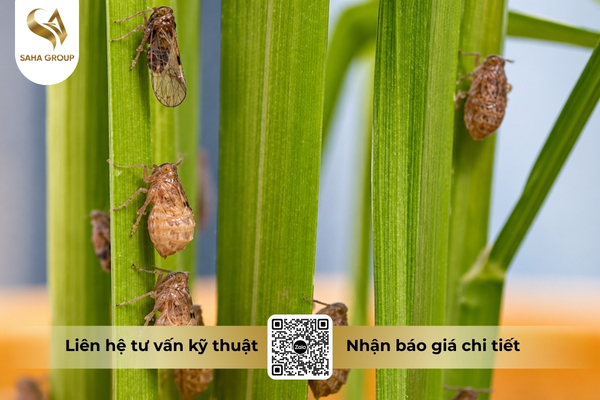 cong-dung-thuoc-tru-sau-nosau-85wp-hieu-noray-850.jpg