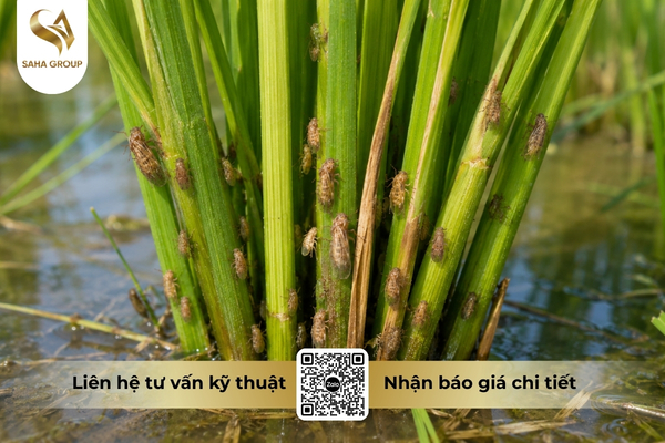cong-dung-thuoc-tru-sau-than-dich-trung-200wp-hieu-ha-ma.jpg